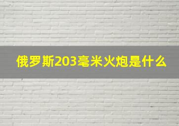 俄罗斯203毫米火炮是什么