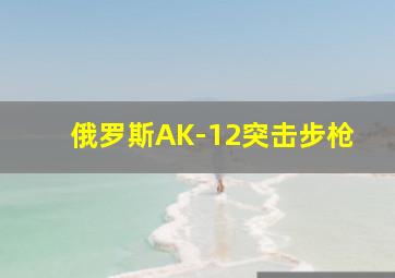 俄罗斯AK-12突击步枪