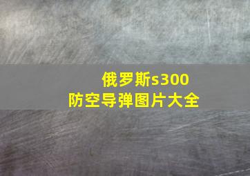 俄罗斯s300防空导弹图片大全