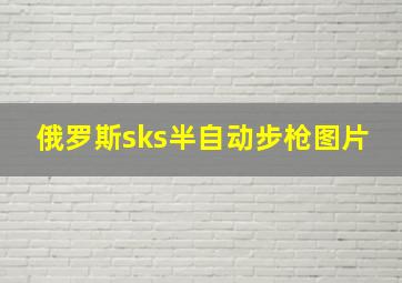 俄罗斯sks半自动步枪图片