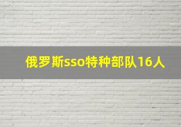 俄罗斯sso特种部队16人