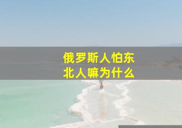 俄罗斯人怕东北人嘛为什么