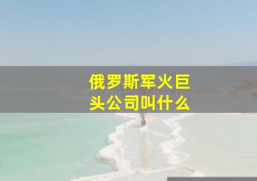 俄罗斯军火巨头公司叫什么