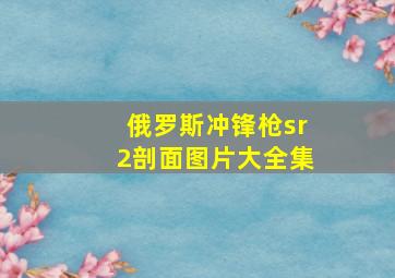 俄罗斯冲锋枪sr2剖面图片大全集