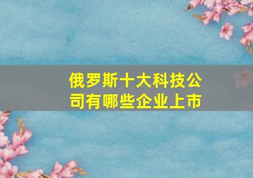 俄罗斯十大科技公司有哪些企业上市