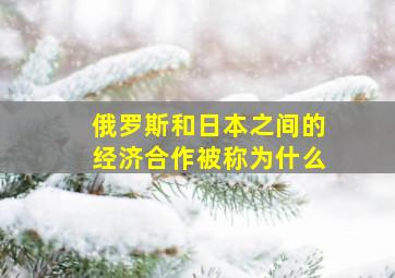 俄罗斯和日本之间的经济合作被称为什么