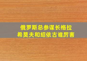 俄罗斯总参谋长格拉希莫夫和绍依古谁厉害