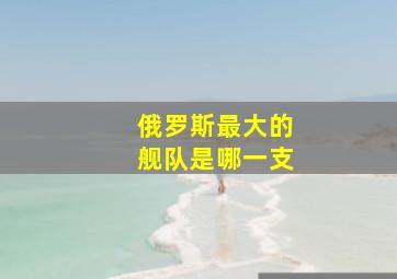 俄罗斯最大的舰队是哪一支