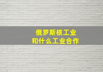 俄罗斯核工业和什么工业合作