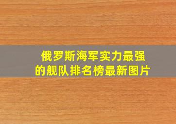 俄罗斯海军实力最强的舰队排名榜最新图片