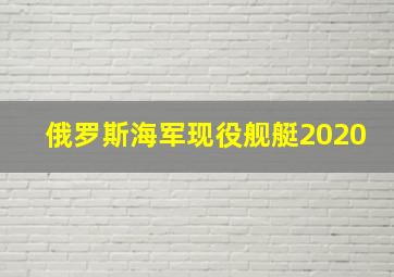 俄罗斯海军现役舰艇2020