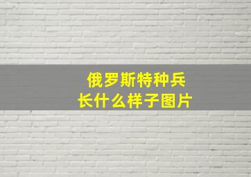 俄罗斯特种兵长什么样子图片