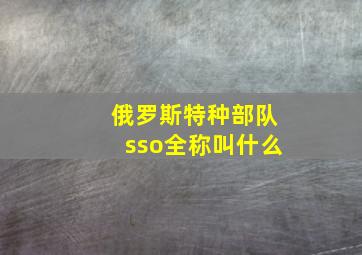 俄罗斯特种部队sso全称叫什么