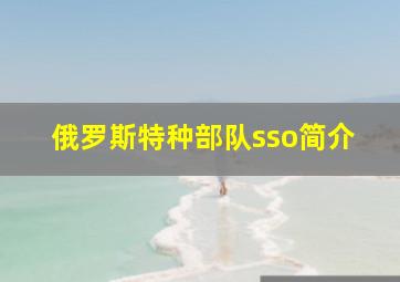 俄罗斯特种部队sso简介