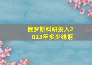 俄罗斯科研投入2023年多少钱啊