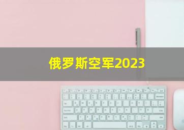 俄罗斯空军2023