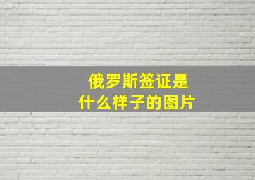 俄罗斯签证是什么样子的图片