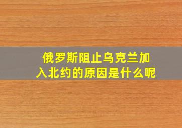 俄罗斯阻止乌克兰加入北约的原因是什么呢