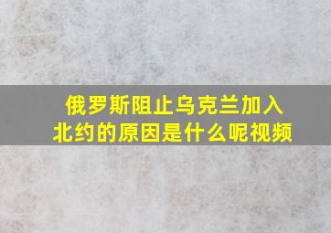 俄罗斯阻止乌克兰加入北约的原因是什么呢视频