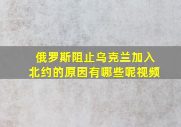 俄罗斯阻止乌克兰加入北约的原因有哪些呢视频