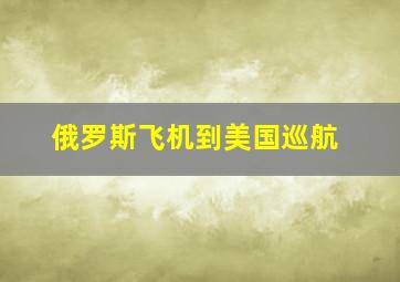 俄罗斯飞机到美国巡航