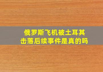 俄罗斯飞机被土耳其击落后续事件是真的吗