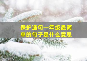 保护造句一年级最简单的句子是什么意思