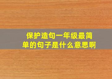 保护造句一年级最简单的句子是什么意思啊