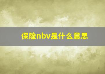 保险nbv是什么意思