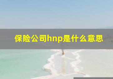 保险公司hnp是什么意思