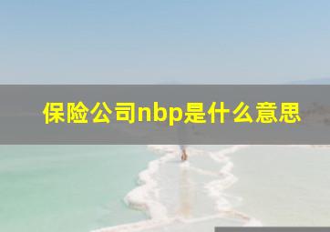 保险公司nbp是什么意思