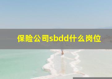 保险公司sbdd什么岗位