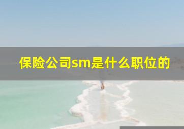 保险公司sm是什么职位的