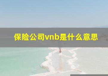 保险公司vnb是什么意思