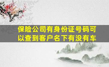 保险公司有身份证号码可以查到客户名下有没有车