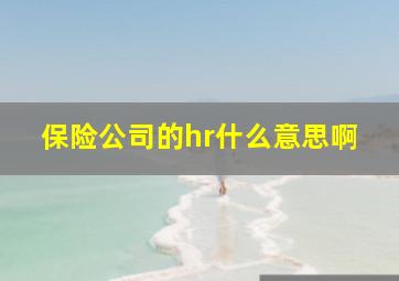 保险公司的hr什么意思啊