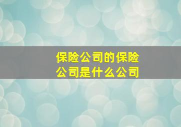 保险公司的保险公司是什么公司