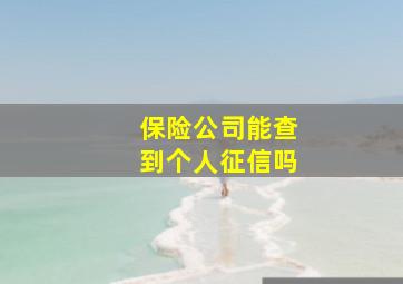 保险公司能查到个人征信吗