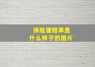 保险理赔单是什么样子的图片