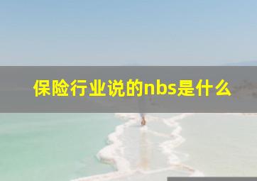 保险行业说的nbs是什么