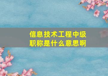 信息技术工程中级职称是什么意思啊