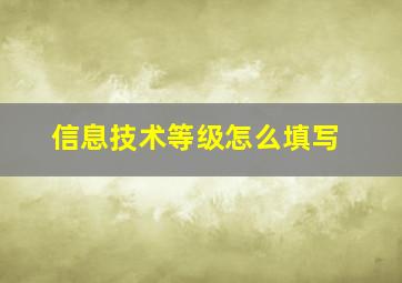 信息技术等级怎么填写