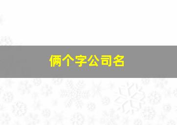 俩个字公司名