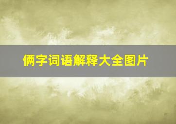 俩字词语解释大全图片