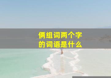 俩组词两个字的词语是什么