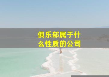 俱乐部属于什么性质的公司