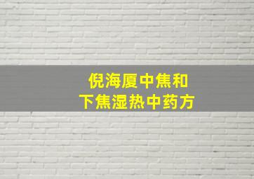 倪海厦中焦和下焦湿热中药方