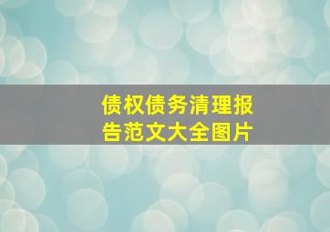 债权债务清理报告范文大全图片