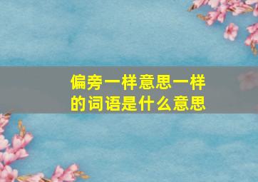 偏旁一样意思一样的词语是什么意思