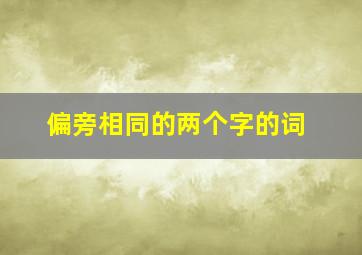 偏旁相同的两个字的词